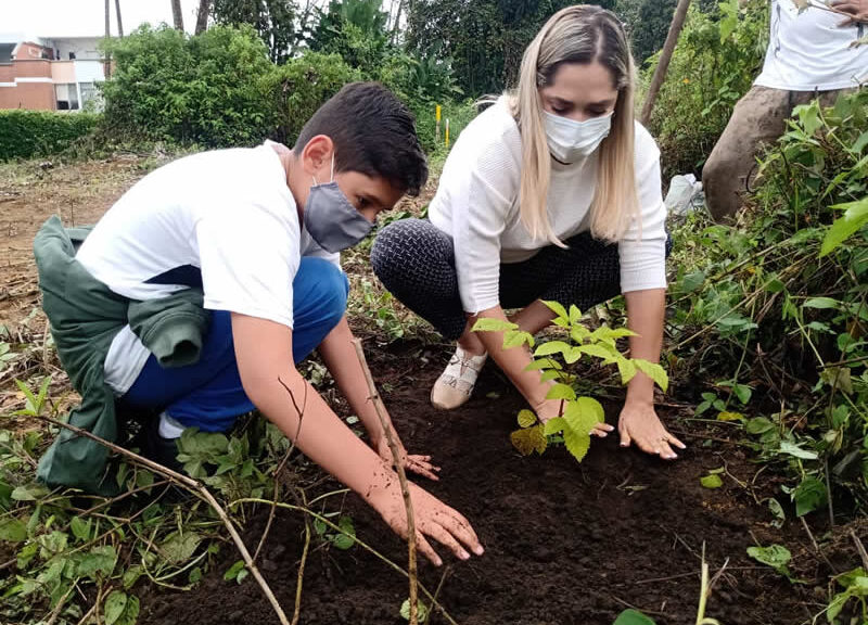 Conmemoramos el Día del Árbol sembrando árboles en distintos lugares de  Risaralda – Tardeando
